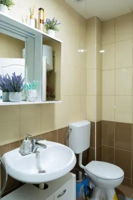 a bathroom with a sink and a toilet at Apartman Bn Vlasic in Vlasic