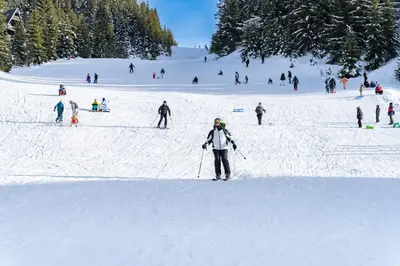 a group of people skiing down a snow covered slope at Apartman Bn Vlasic in Vlasic