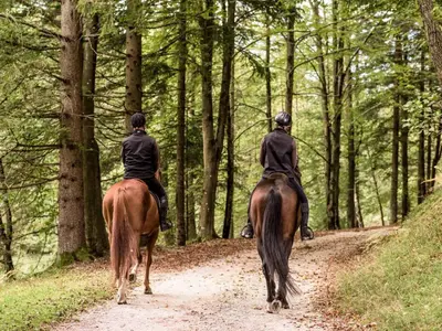 two people riding horses down a dirt road at APPLE Cabin with Jacuzzi - Sauna in Drenova Glavica