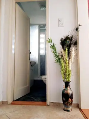 a vase with a plant in a hallway at Apartman Doboj in Doboj