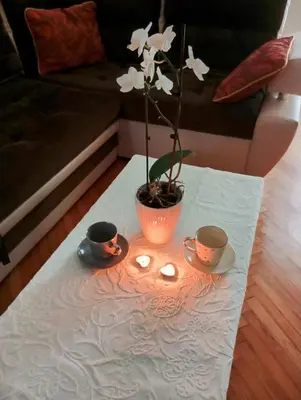 a coffee table with two cups and a plant on it at Apartman Doboj in Doboj