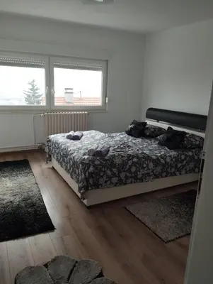 a bedroom with a bed and two windows at apartman Sara in Tuzla