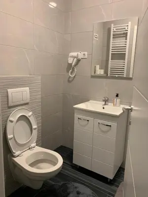 a bathroom with a toilet and a sink and a mirror at Zlatni San apartman 3 in Banja Luka