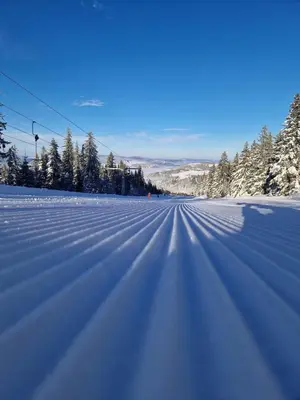 a snow covered road with trees in the distance at Mountain Mia in Šišava