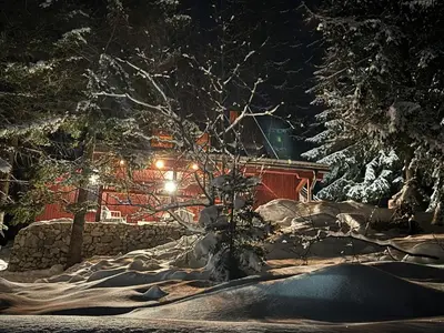 a snow covered yard with a house at night at Mountain Mia in Šišava