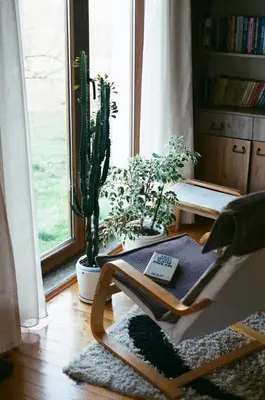 a room with a chair and a cactus and a window at Apartman HADŽILUK in Bugojno