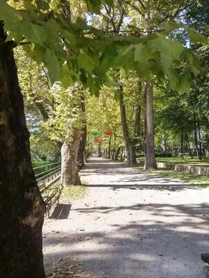 a park with trees and a bench in a park at Apartman Nafo in Bihać