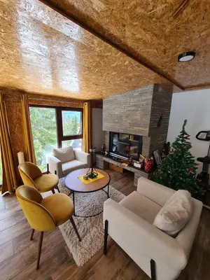 a living room with couches and a christmas tree at Villa Gabi Vlašić in Travnik