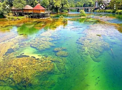 a large body of water with algae on it at Ferienwohnung Sabina in Bosanska Krupa