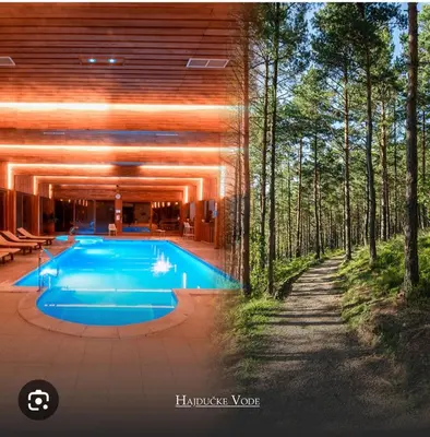a swimming pool in the middle of a forest at Stan na dan Miki -M Teslic in Teslić