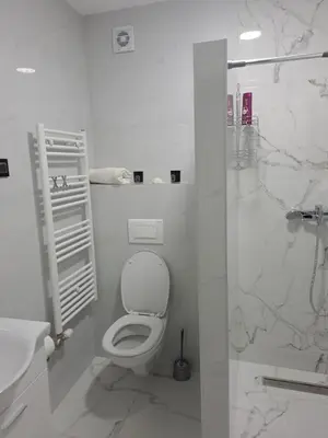 a white bathroom with a toilet and a shower at Apartman NINA in Doboj