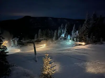 a christmas tree in the snow at night at Whispering Pines in Šišava