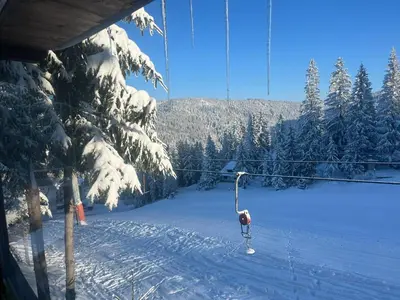 a bird on a ski lift in the snow at Whispering Pines in Šišava