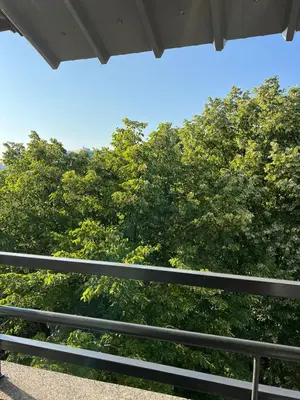 a view of some trees from a balcony at Theatre View Banja Luka in Banja Luka
