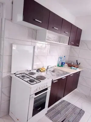a kitchen with a white stove and a sink at Apartmani Amina in Bihać