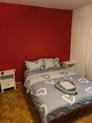 a bedroom with a bed and a red wall at Apartman Centar in Banja Luka