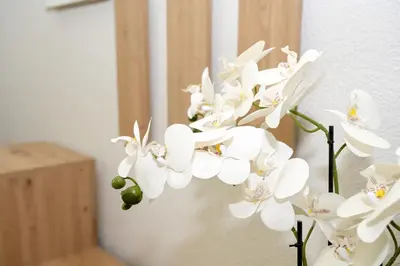 a bunch of white flowers in a vase at Apartman Leo Jajce in Jajce