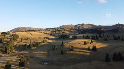 an aerial view of a field with trees and mountains at Villa Maglić Vlašić in Vlasic