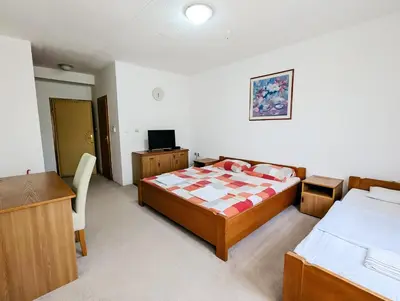 a bedroom with a bed and a desk and a television at Motel Dačo in Stara Bila