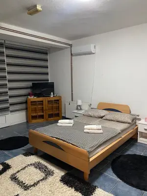a bedroom with two beds and a television in it at Apartmani Alejna in Sanski most