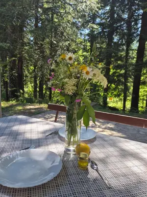 a table with two plates and a vase of flowers at Kuća za odmor Carpe Diem in Bosanski Petrovac