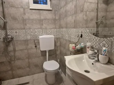 a bathroom with a toilet and a sink at Kuća za odmor Carpe Diem in Bosanski Petrovac