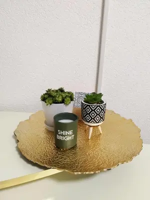 two plants sitting on top of a table at Boulevard Tuzla Studio Apartment in Tuzla