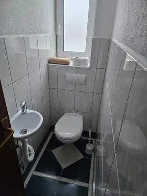 a small bathroom with a toilet and a sink at Villa Voljička in Trnovača