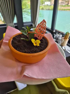 a small plant in a bowl on a table at Hotel Luna Bihać in Bihać