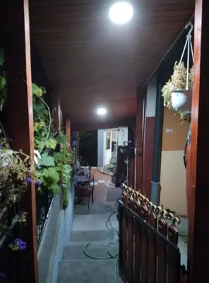 a hallway of a house with plants at KONAK kod ODISEJE in Tuzla