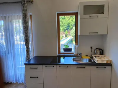 a small kitchen with a sink and a window at Vila Medo in Kulen Vakuf