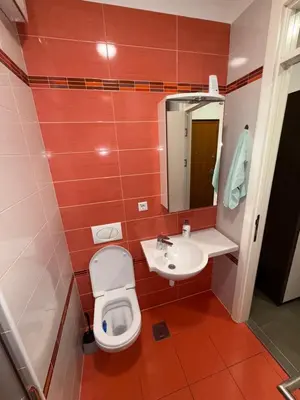 a bathroom with a toilet and a sink and a mirror at San apartment in Banja Luka