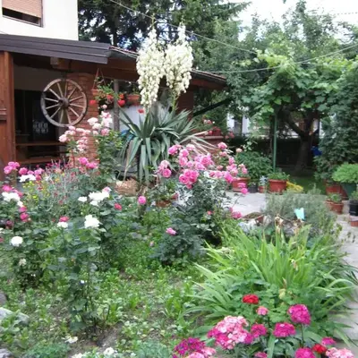 Bravo Guest House