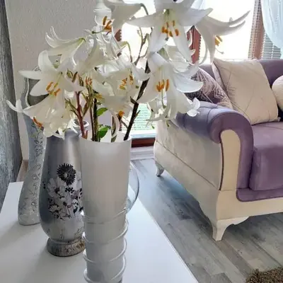 Apartman STARI GRAD