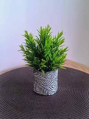 a plant in a black and white vase on a table at Esma 2 in Bihać