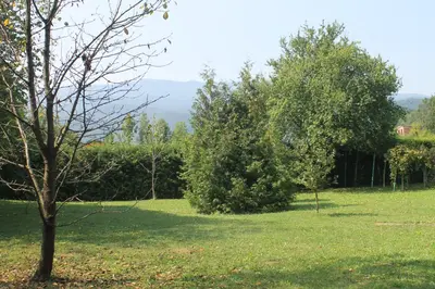 a field of grass with trees in the background at The River House in Lohovo
