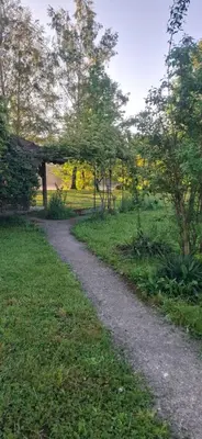a path in a field with trees and grass at The River House in Lohovo