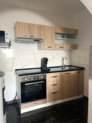 a kitchen with a stove and a sink at Melissa luxury Apartment in Bijelo Brdo