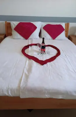 a bottle of wine and a glass on a bed at Apartman Orhideja za 4 osobe in Sanski most