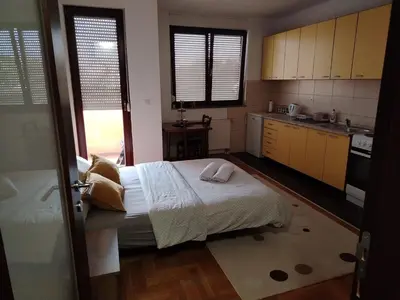 a bedroom with a large bed and a kitchen at Studio D&N in Starčevica