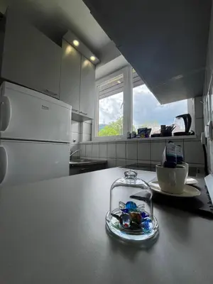 a kitchen with a counter with a bowl of food on it at Dora Apartman in Banja Luka