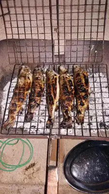 a grill with some food on top of it at Apartman Iman in Bihać