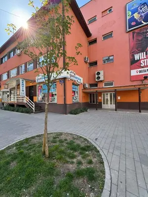 a small tree in front of a building at Apartman 21 Lux in Banja Luka