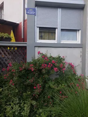 a house with pink flowers in front of a window at Apartman NAFO in Bihać