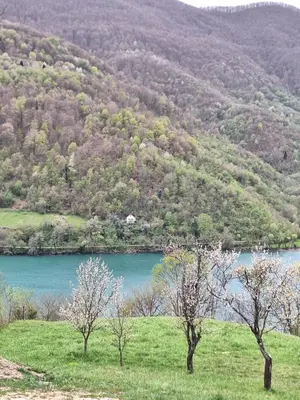 two trees in a field next to a body of water at Cottage MIRNI RAJ in Jajce