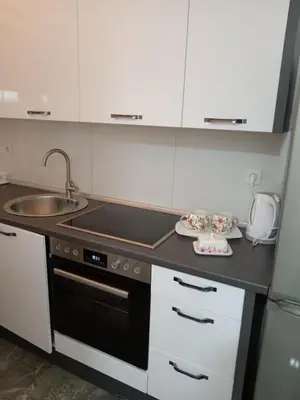 a kitchen with a sink and a stove at Sokak Apartman in Bihać