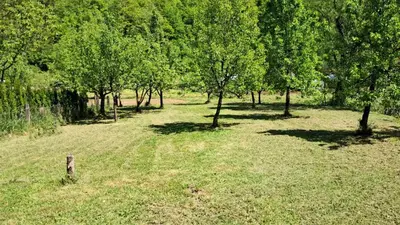 a field of grass with trees in the background at Dream House Šeha in Bihać
