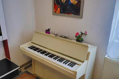a piano in a room with a painting on the wall at Apartman MIŠKO in Bihać