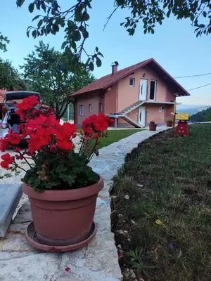 a pot of red flowers in front of a house at Oaza mira Šipovo in Šipovo