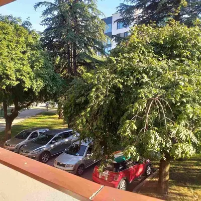a group of cars parked under a tree at AM Rooms in Visoko